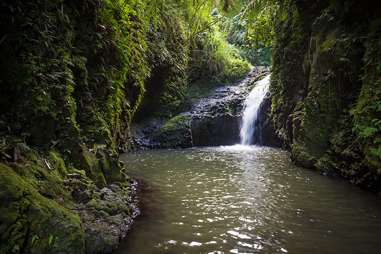 Waterfall Hikes Near Waikiki