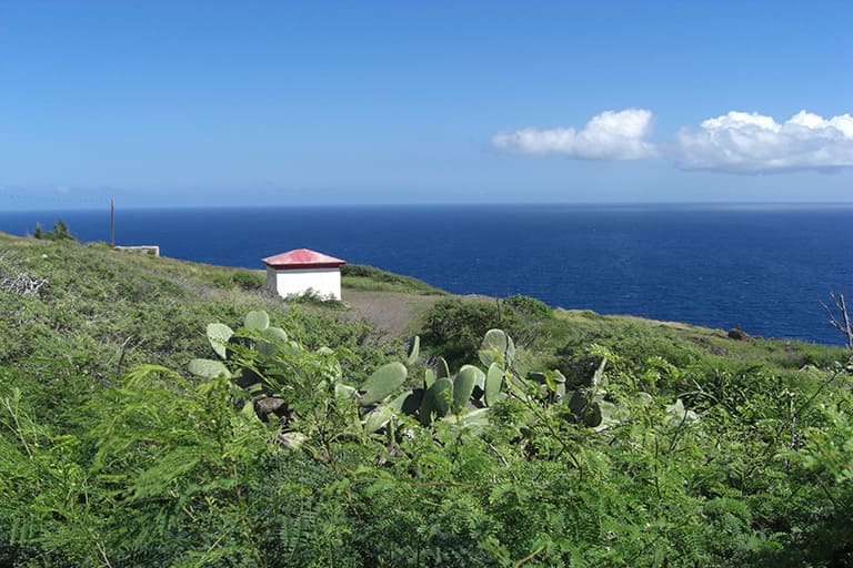 Easy Hikes Near Waikiki