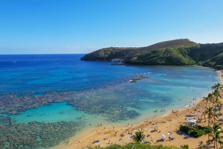 Best Dolphin Snorkel Tours with Shuttle Service from Waikiki