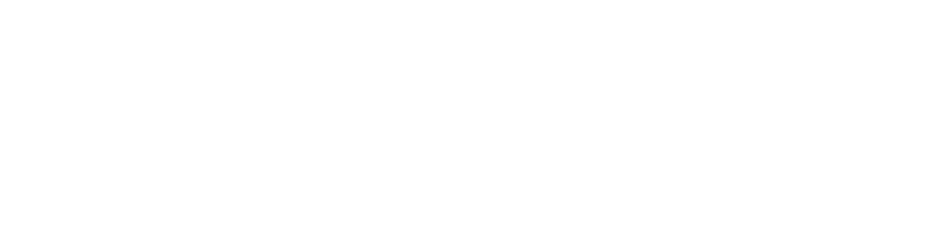 Waikiki Travel Guide