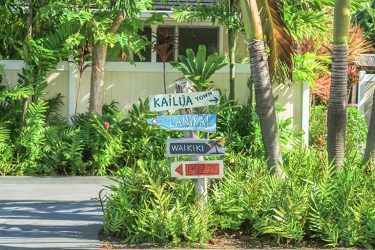 What to Do in Kailua for a Perfect Escape from Waikiki