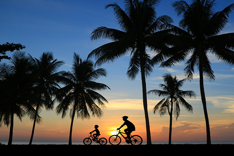 Cycling in Waikiki: Best Bike Routes, Rentals & Safety Tips
