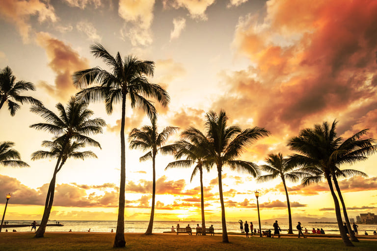 Waikiki Beach Walk Honolulu: Top Things to Do, Eat & Watch
