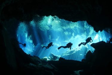 Why Waikiki Dive Center Is the Perfect Place to Start Your Scuba Journey