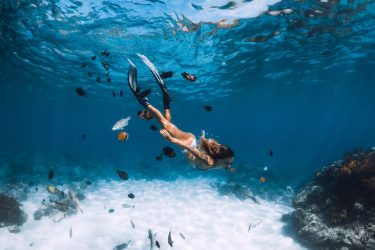 Waikiki Snorkel with Turtles- How to Swim with Hawaii’s Honu